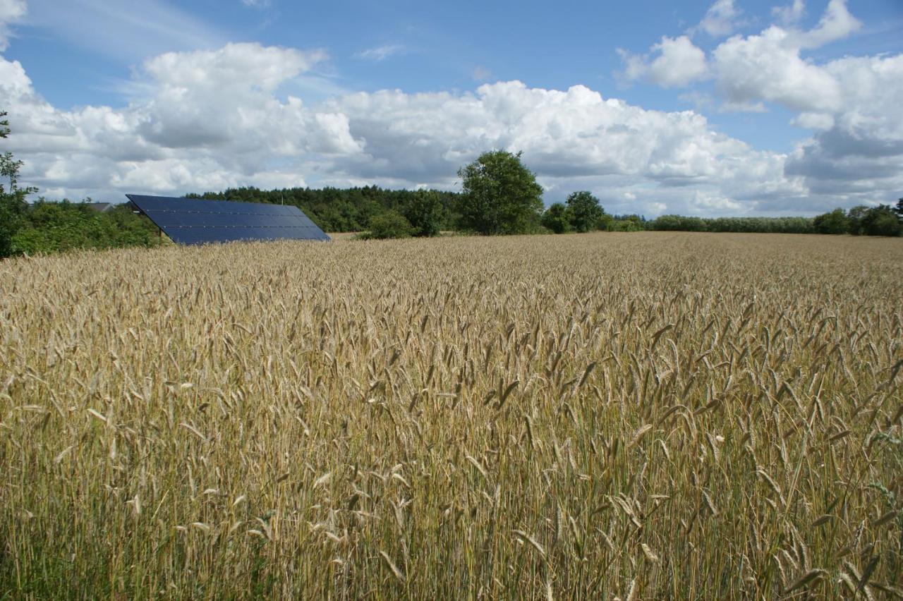 Lustrup Farmhouse Lägenhet Ribe Exteriör bild