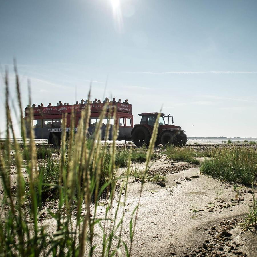 Lustrup Farmhouse Lägenhet Ribe Exteriör bild